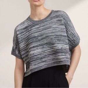 Aritzia Babaton Blue Marled Ribbed Short Sleeve Boxy Cropped Donald Sweater Top